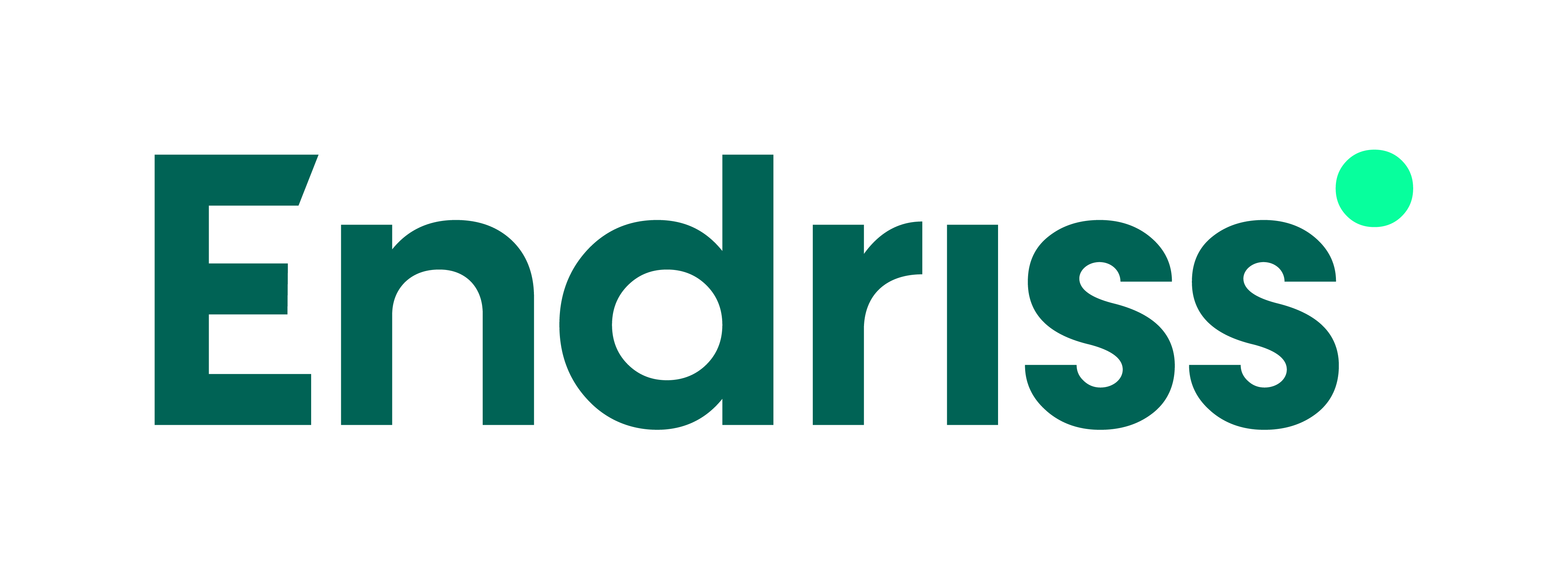 Endriss Logo