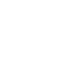 Icon Xing